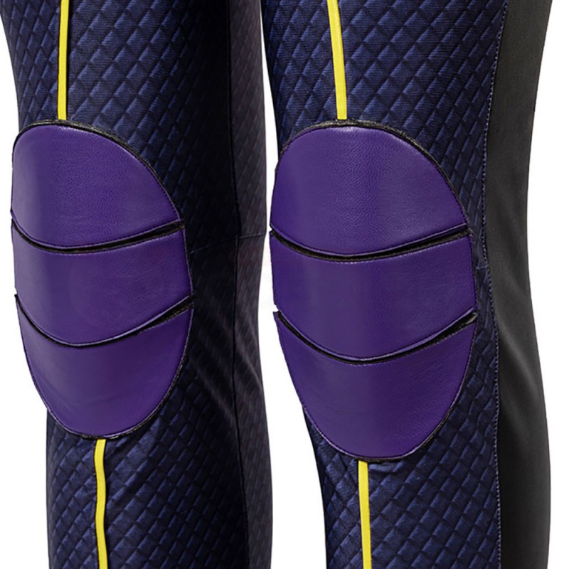 Female Knights Barbara Gordon Purple Cosplay Costume