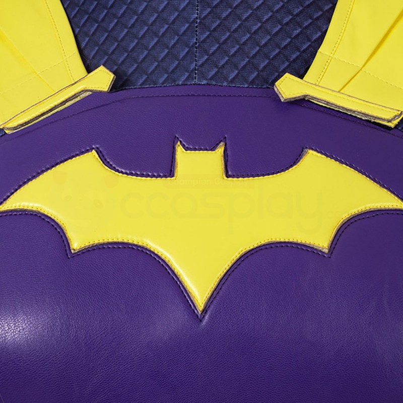 Female Knights Barbara Gordon Purple Cosplay Costume