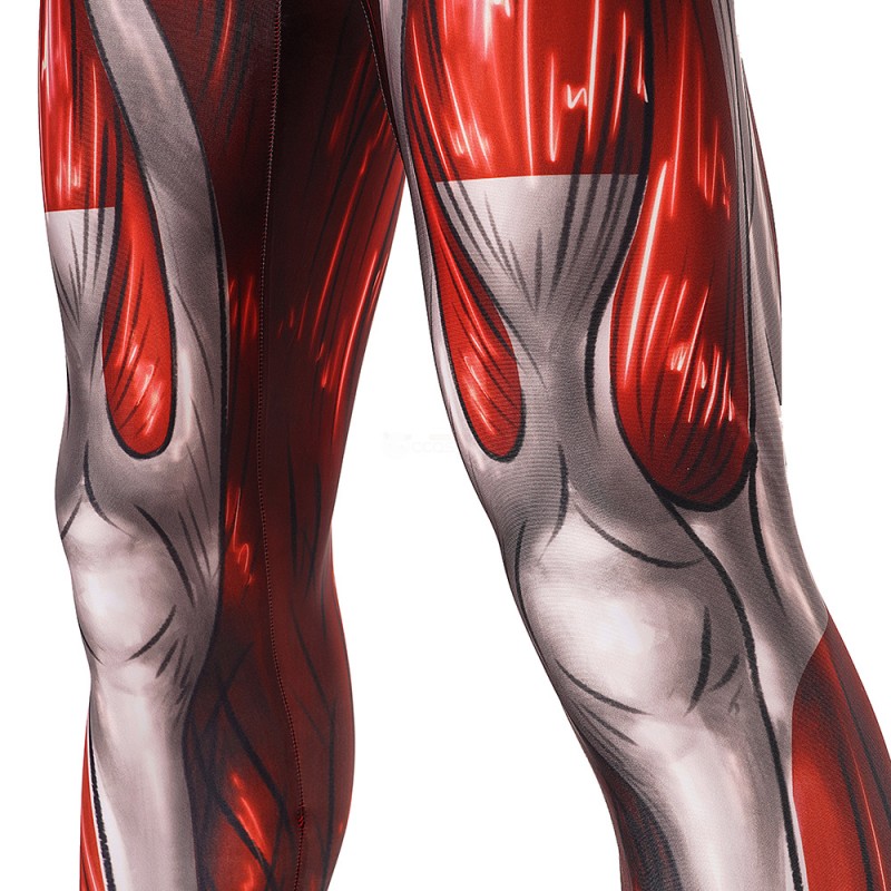 Red Lycra Jumpsuit Anime Cosplay Costume