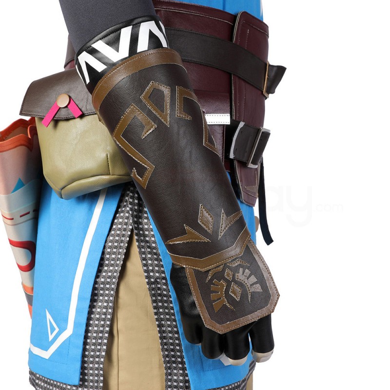 The Legend of Zelda Tears of the Kingdom Link Cosplay Costumes