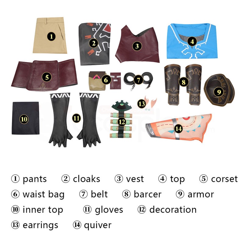 The Legend of Zelda Tears of the Kingdom Link Cosplay Costumes