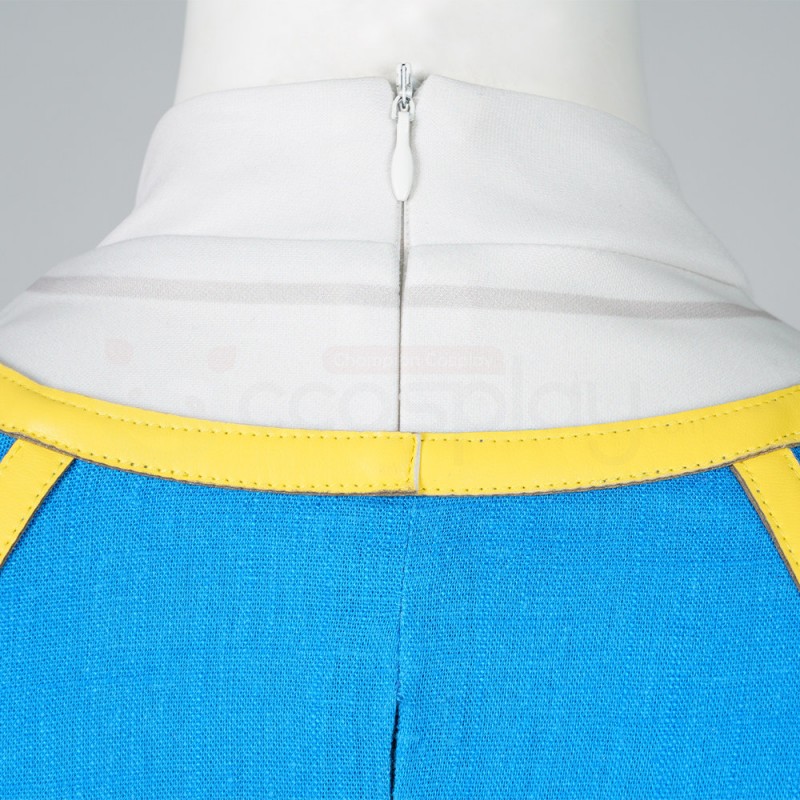 Princess Zelda Costumes The Legend Of Zelda Breath Of The Wild Cosplay Suit