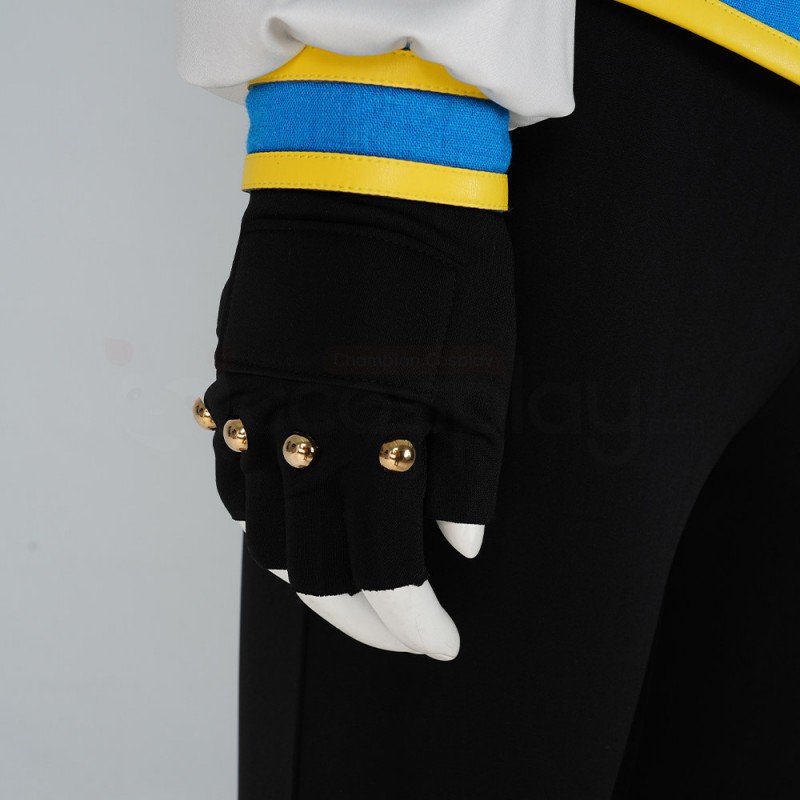 Princess Zelda Costumes The Legend Of Zelda Breath Of The Wild Cosplay Suit