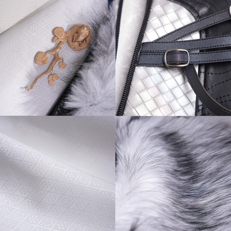 Where Winds Meet Tianquan Cosplay Costume Male Halloween Suit