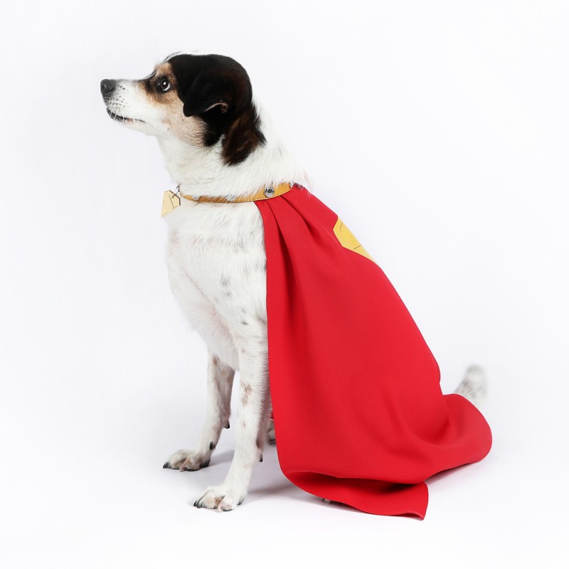 Krypto Dog Cape Cosplay Costume Pet Clothing Halloween Suit