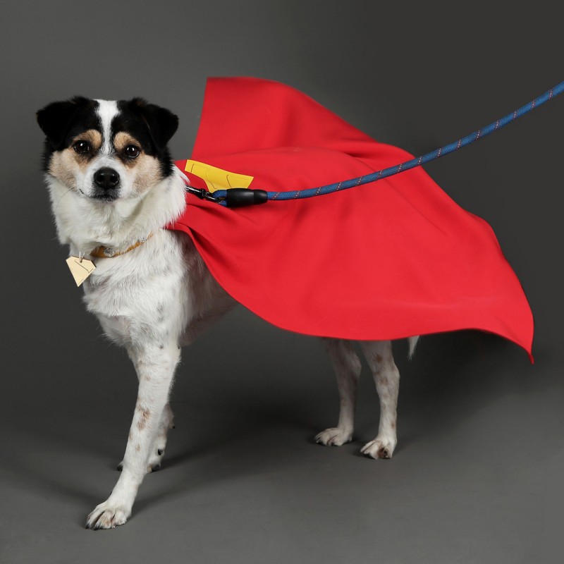 Krypto Dog Cape Cosplay Costume Pet Clothing Halloween Suit