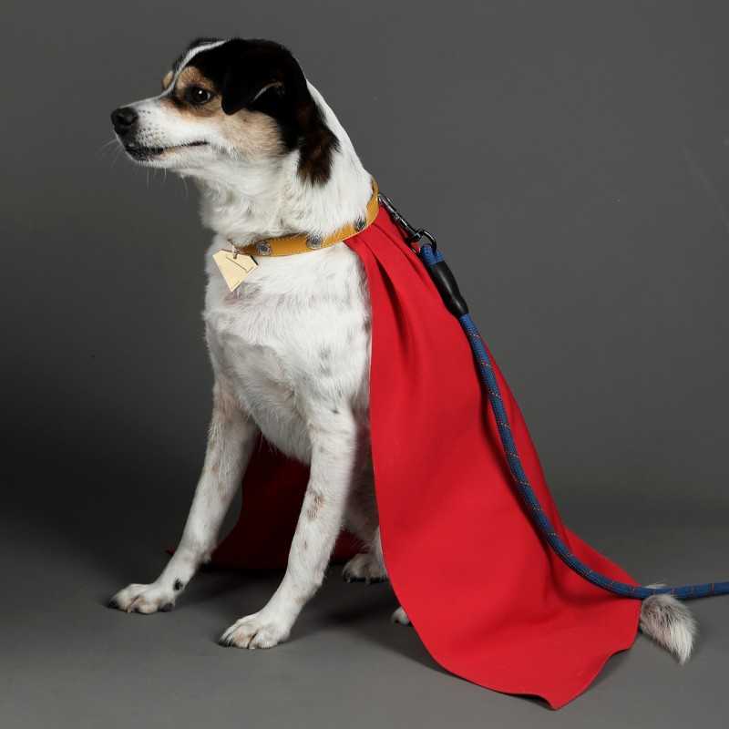 Krypto Dog Cape Cosplay Costume Pet Clothing Halloween Suit