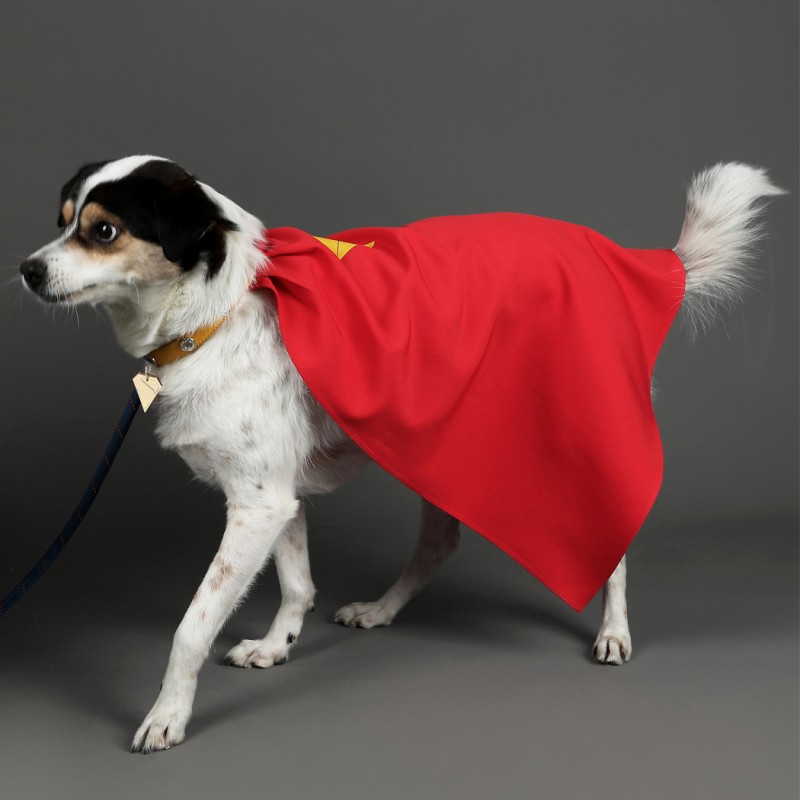 Krypto Dog Cape Cosplay Costume Pet Clothing Halloween Suit