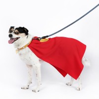 Krypto Dog Cape Cosplay Costume Pet Clothing Halloween Suit