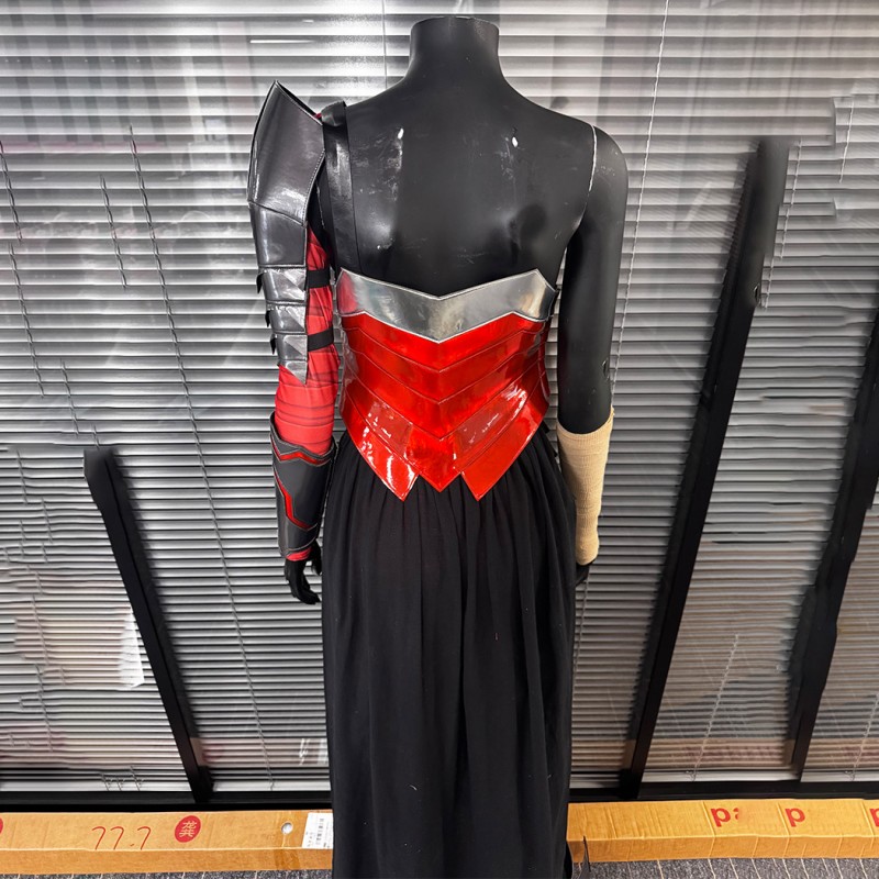 Absolute Catgirl Cosplay Costume Kate Kane Suit Selina Kyle Women Dress Outfit