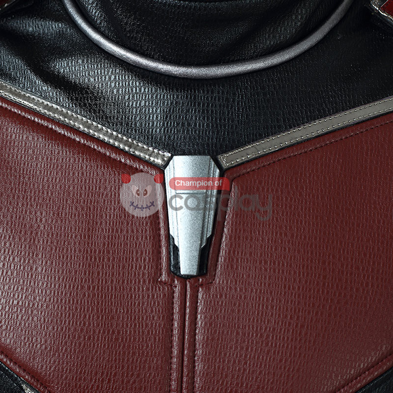 Ant-Man Costumes Ant-Man and the Wasp Scott Lang Cosplay Costume