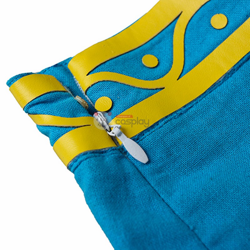 The Legend Of Zelda Breath Of The Wild Princess Zelda Cosplay Costume