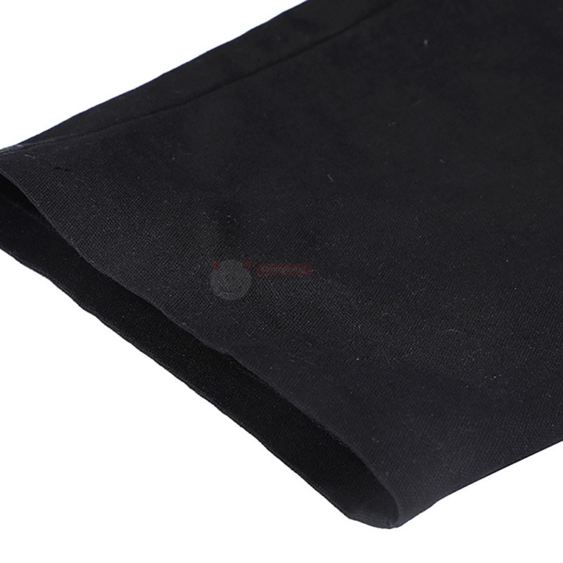 The Falcon and the Winter Soldier Sam Wilson Cosplay Costume