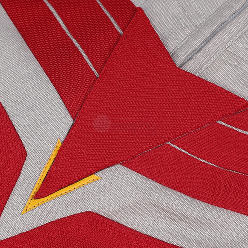 The Falcon and the Winter Soldier Sam Wilson Cosplay Costume