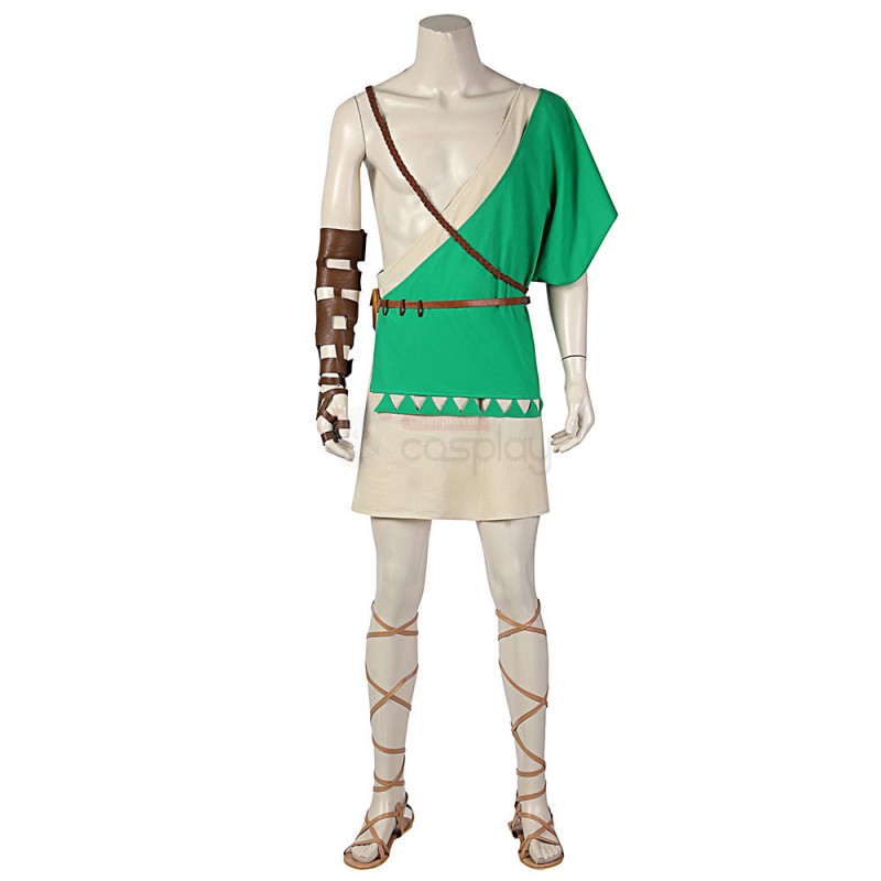 The Legend of Zelda Breath of The Wild 2 Link Cosplay Costumes
