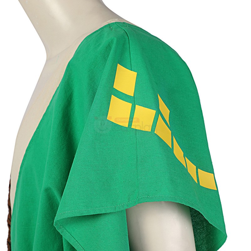 The Legend of Zelda Breath of The Wild 2 Link Cosplay Costumes