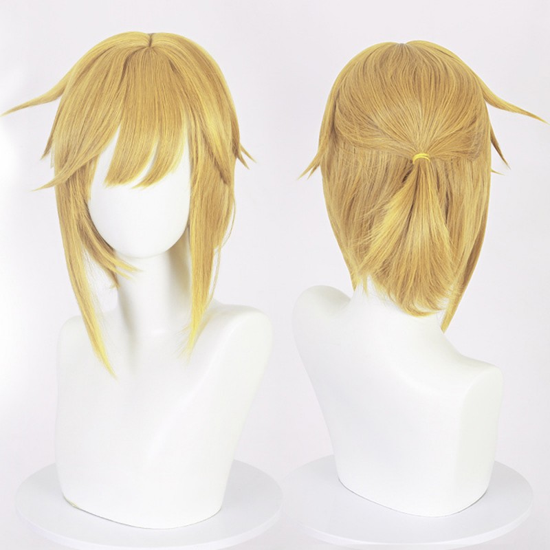 Link Royal Guard Costume The Legend of Zelda Tears of the Kingdom Cosplay Suit Halloween Uniform