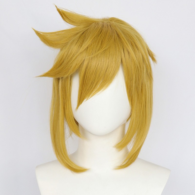 Link Hylian Tunic Costume The Legend of Zelda Tears of the Kingdom Cosplay Suit